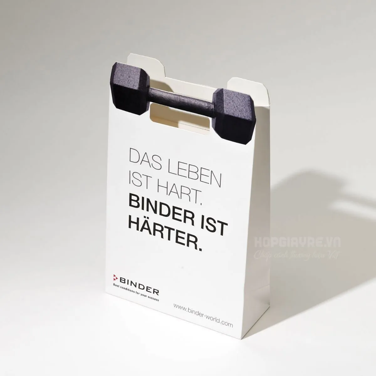 Túi giấy quai xách hiện đại