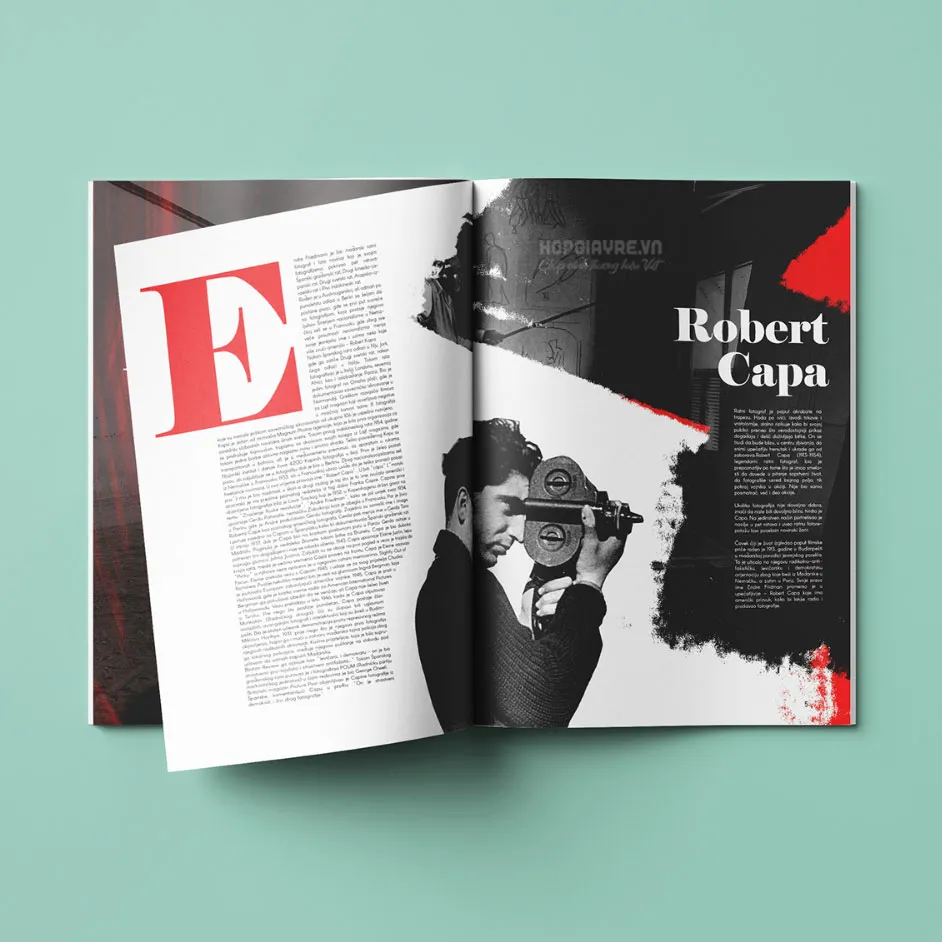 in catalogue lấy ngay chuyên nghiệp