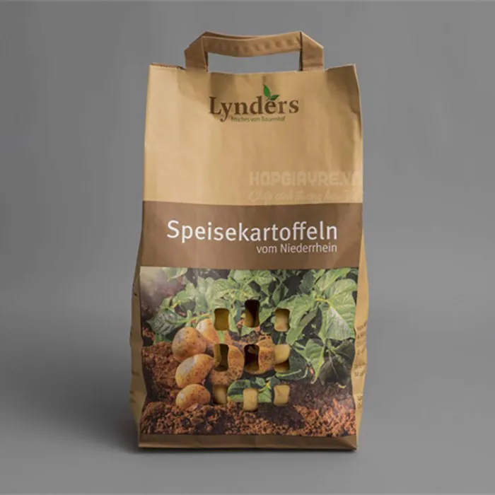 Túi giấy đựng khoai tây