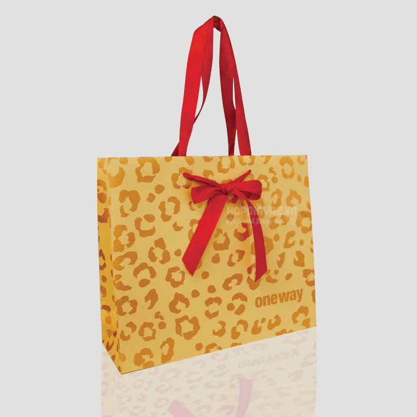 Túi xách giấy đựng quà thời trang