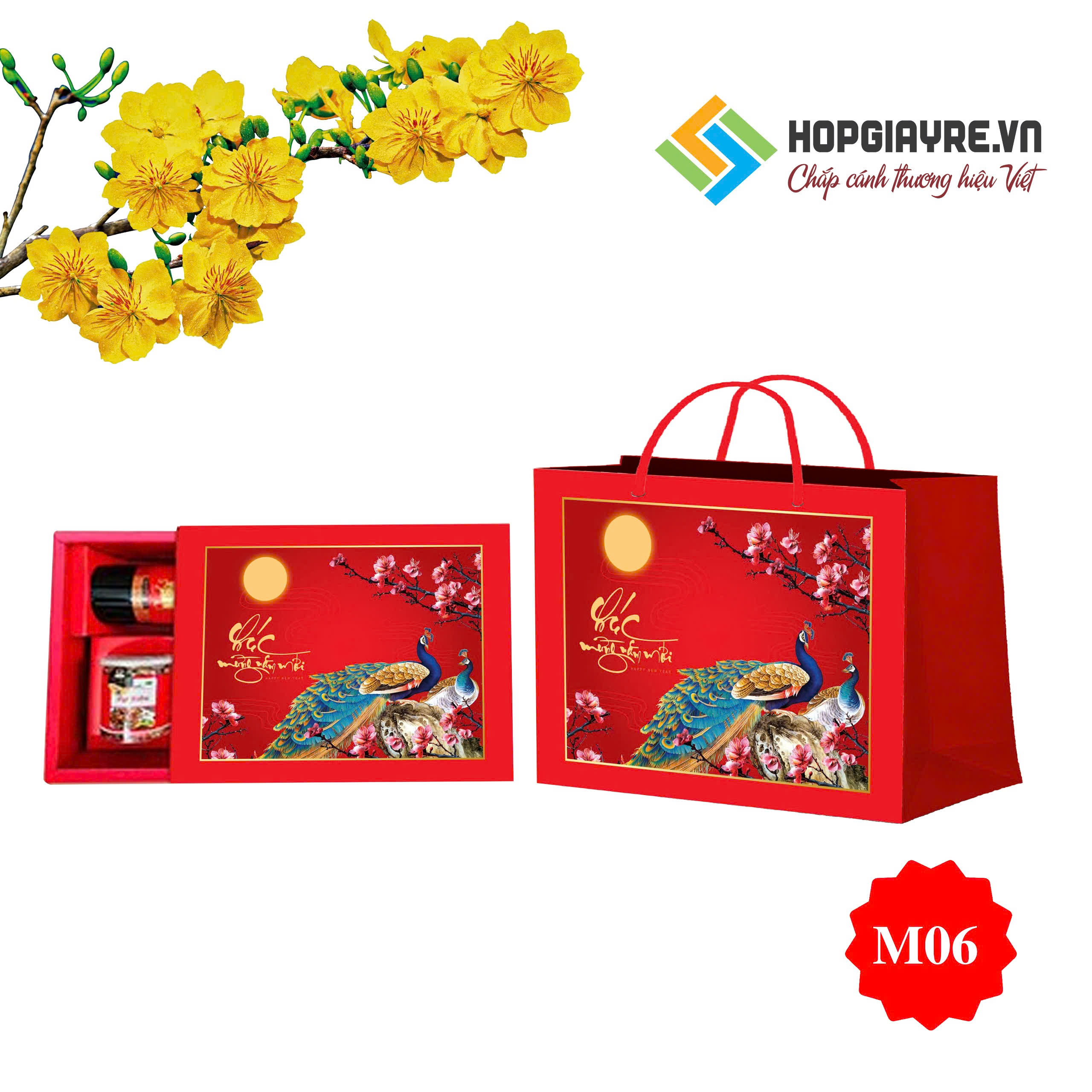 vỏ hộp quà tết M08